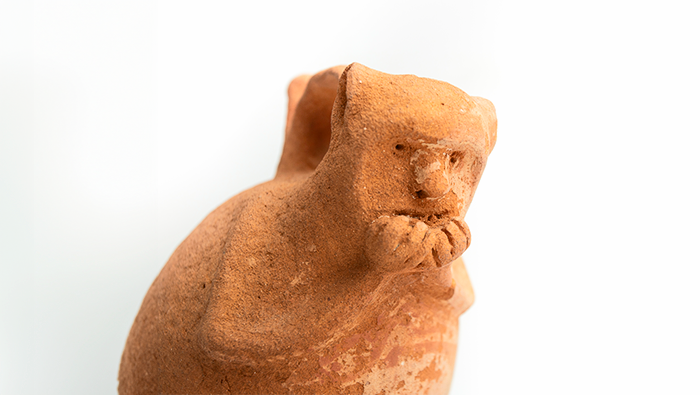 Museo de Pachacamac Muestra “Presencia de la Amazonía en Pachacamac”