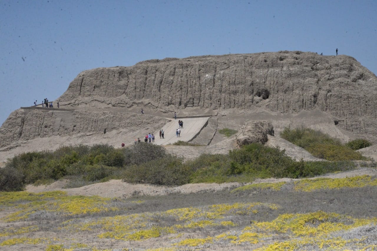 Museos de Lambayeque abrirán sus puertas en este feriado largo