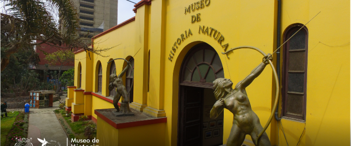 Museo de Historia Natural "Javier Prado"