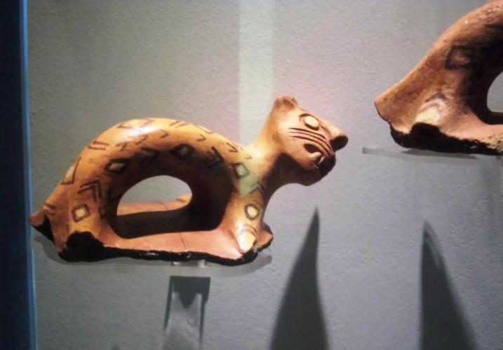 Museo Amazónico Andino Qhapaq Ñan Quillabamba