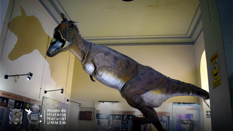Museo de Historia Natural "Javier Prado"
