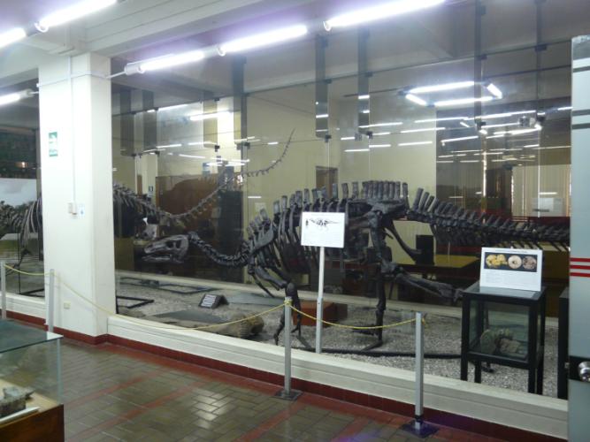 Museo de Historia Natural "Vera Alleman Haeghebaert"