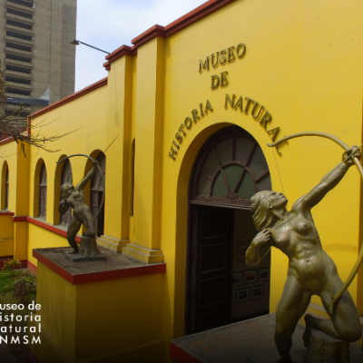 Museo de Historia Natural "Javier Prado"