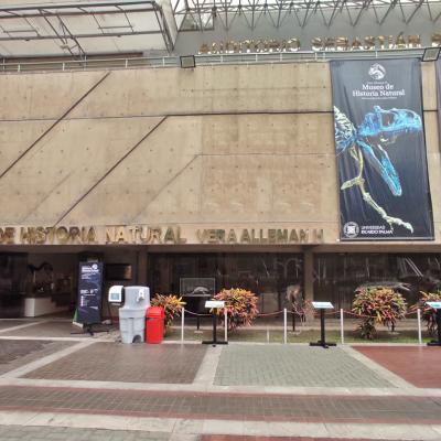Museo de Historia Natural "Vera Alleman Haeghebaert"