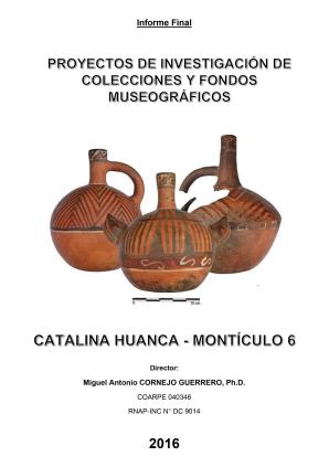 Cornejo (2016) Informe Proyecto de investigación Catalina Huanca Montículo 6